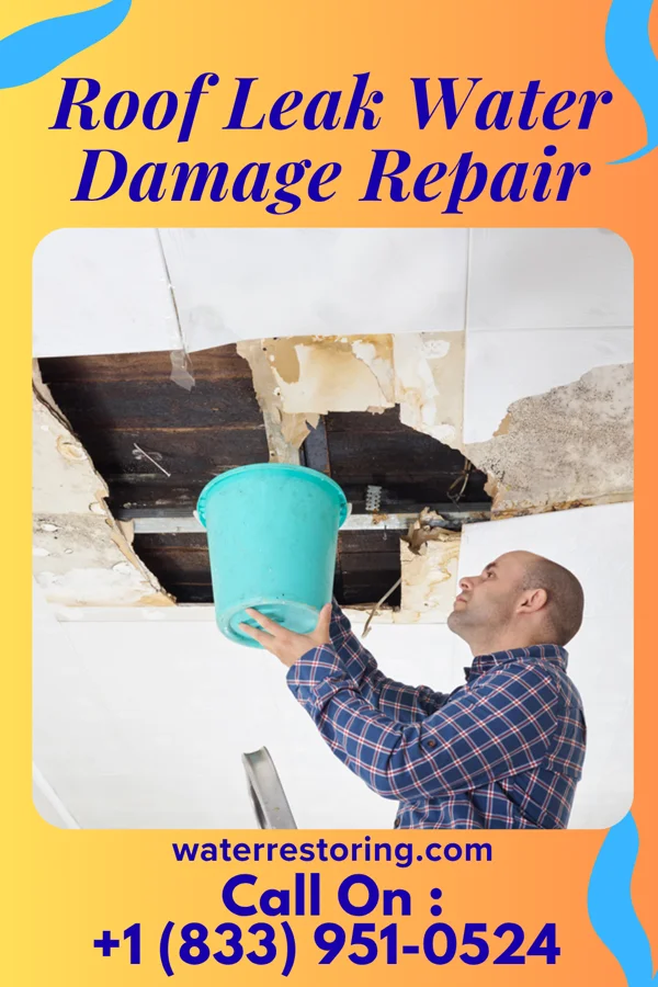 Roof Leak Water Damage Repair in St. Martin, MN