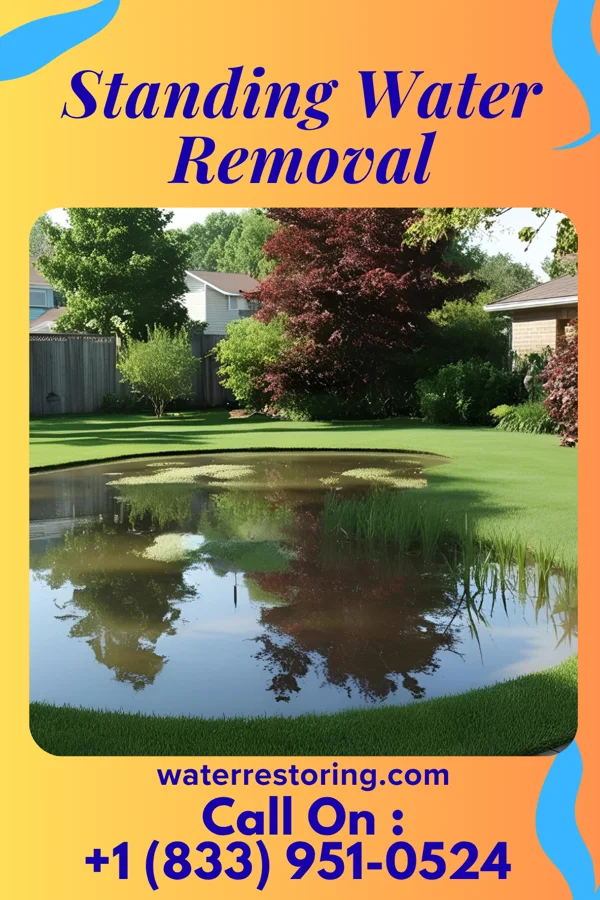 Standing Water Removal in St. Martin, MN